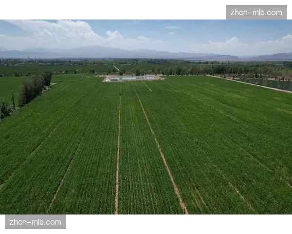 中足联提出三大愿景：技术创新、数据驱动、资源整合